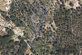 Beas 7431&nbsp;m²