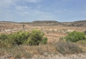 Casa de camp amb terreny en venda a Níjar ref.: TR406348 foto