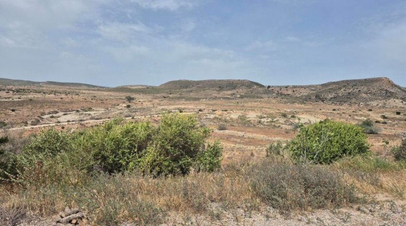Almeria - Níjar - 164519m2