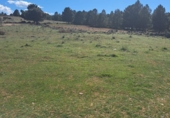 Village house for sale on España, Peñascosa, ref: TR406299 photo
