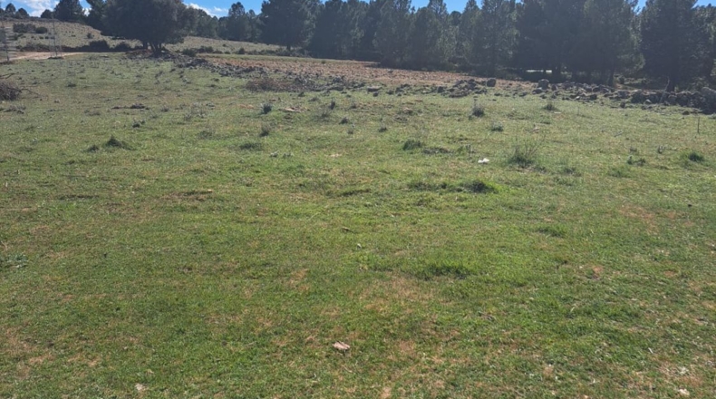 Альбакете - Peñascosa - 130m2