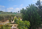 Casa de campo con terreno en venta en Águilas ref: TR94680 foto