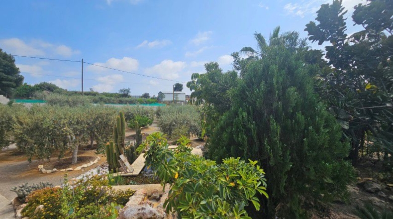 Múrcia - Águilas - 3580m2