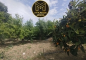 Detached villa with land for sale in Jaén ref: TR406334 photo