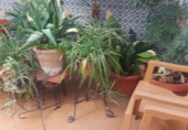 Casa de pueblo en venta en Jaén ref: TR406306 foto