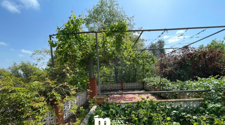 Murcia - Cieza - 11200m2