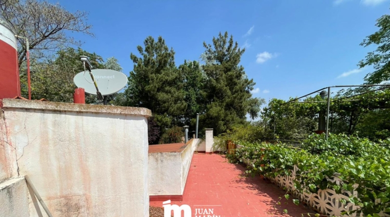 Murcia - Cieza - 11200m2