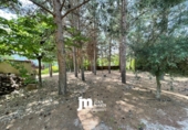 Casa de campo con terreno en venta en Cieza ref: TR209227 foto