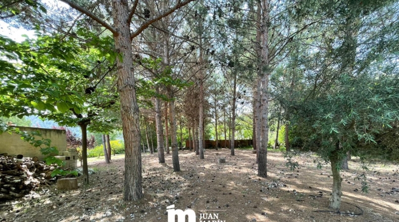 Murcia - Cieza - 11200m2