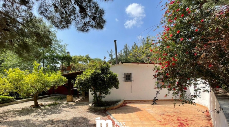 Murcia - Cieza - 11200m2
