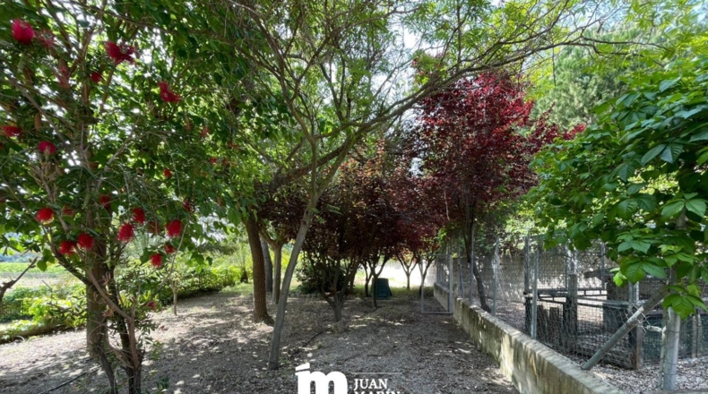 Murcia - Cieza - 11200m2