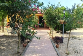 Foto 19