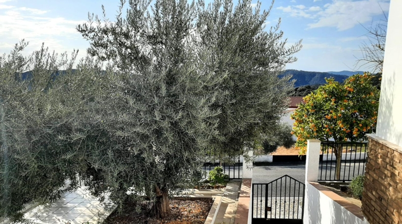 Córdoba - Villaharta - 1000m2