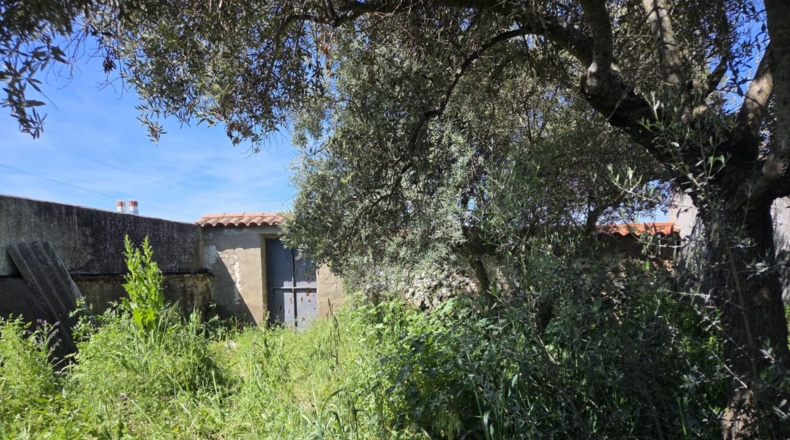 Бадахос - Granja de Torrehermosa - 333m2