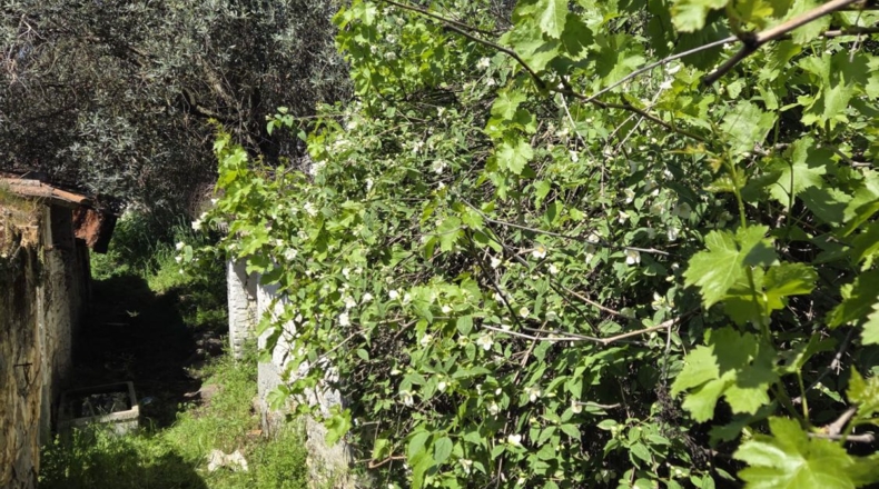 Бадахос - Granja de Torrehermosa - 333m2