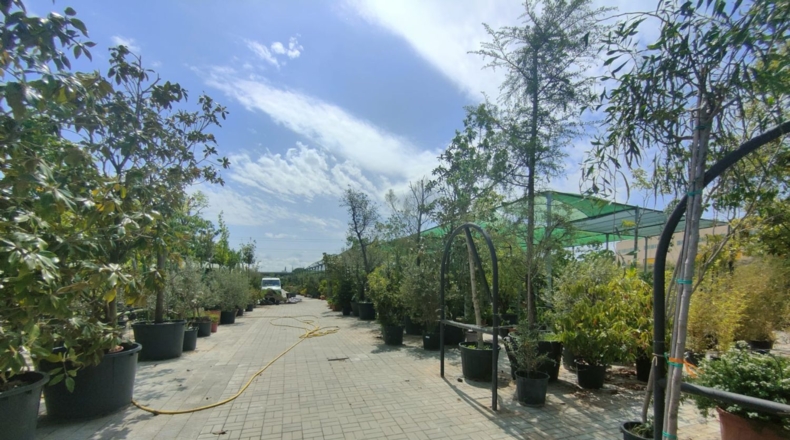 Barcelona - Esparreguera - 12000m2