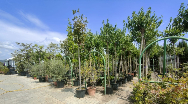 Barcelona - Esparreguera - 12000m2