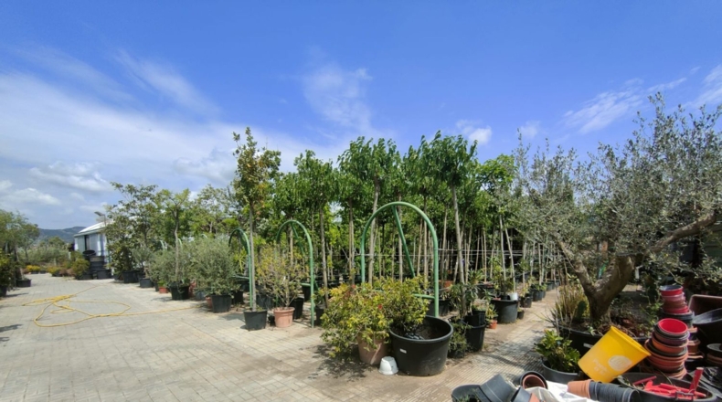 Barcelona - Esparreguera - 12000m2