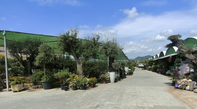 Barcelona - Esparreguera - 12000m2