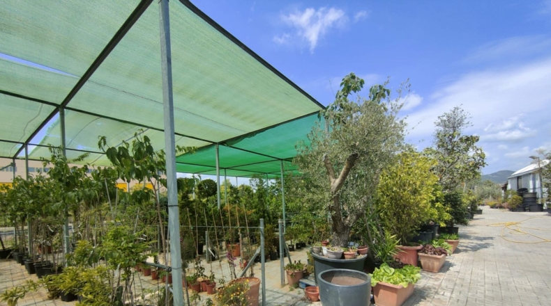 Barcelona - Esparreguera - 12000m2