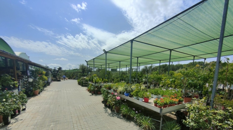 Barcelona - Esparreguera - 12000m2
