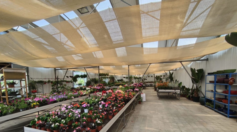 Barcelona - Esparreguera - 12000m2