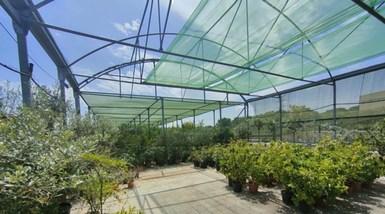 Barcelona - Esparreguera - 12000m2