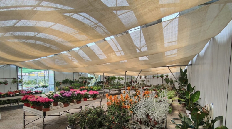 Barcelona - Esparreguera - 12000m2