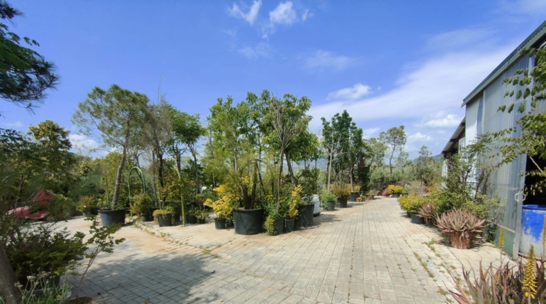 Barcelona - Esparreguera - 12000m2