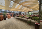 Земля на продажу у города Esparreguera. Фото