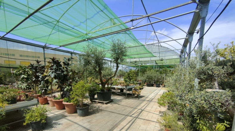 Barcelona - Esparreguera - 12000m2