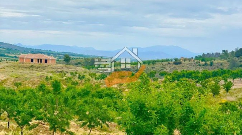Murcia - Caravaca de la Cruz - 55000m2