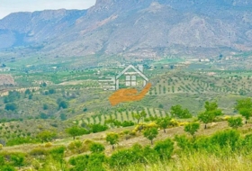 Caravaca de la Cruz 55000&nbsp;m² 
