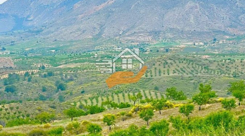 Murcia - Caravaca de la Cruz - 55000m2