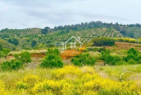 Caravaca de la Cruz 55000&nbsp;m² 