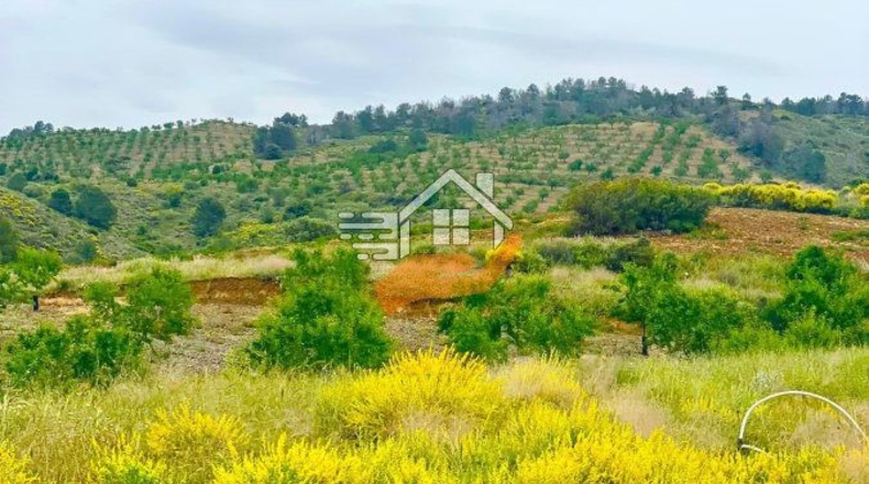 Murcia - Caravaca de la Cruz - 55000m2
