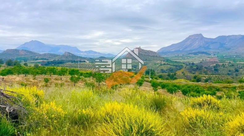 Murcia - Caravaca de la Cruz - 55000m2