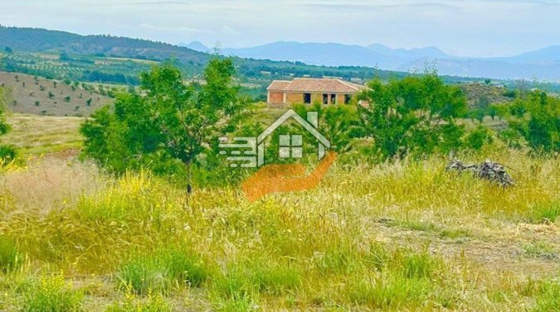 Murcia - Caravaca de la Cruz - 55000m2