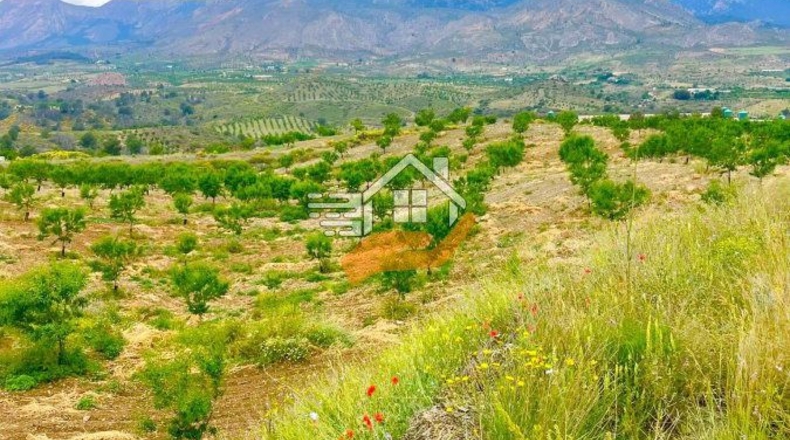 Murcia - Caravaca de la Cruz - 55000m2