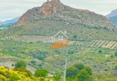 Xalet independent amb terreny en venda a Caravaca de la Cruz ref.: TR406325 foto
