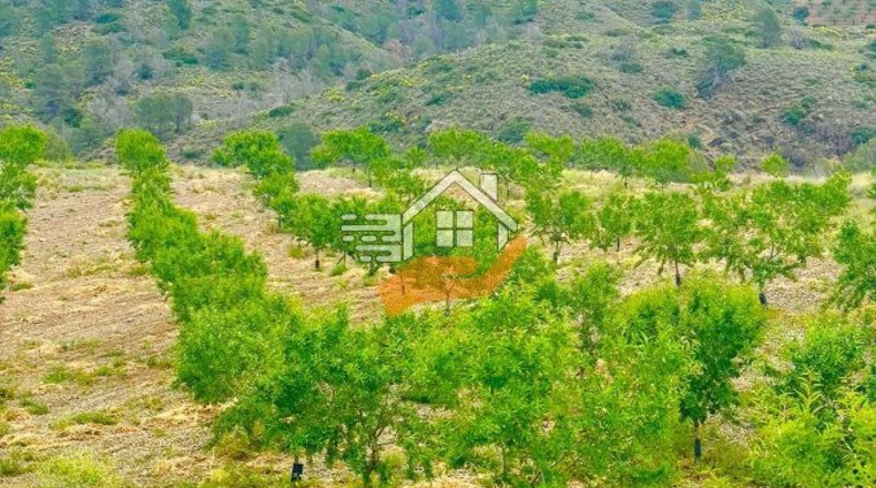 Murcia - Caravaca de la Cruz - 55000m2