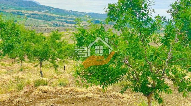 Murcia - Caravaca de la Cruz - 55000m2