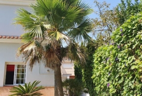Calafell 414&nbsp;m²