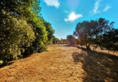 Xalet independent amb terreny en venda a Chiclana de la Frontera ref.: TR383547 foto