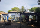 Xalet independent amb terreny en venda a Chiclana de la Frontera ref.: TR395421 foto