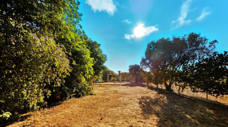 Cádiz - Chiclana de la Frontera - 8320m2