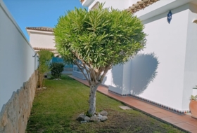 Chiclana de la Frontera 416&nbsp;m²