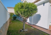 Chalet independiente con terreno en venta en Chiclana de la Frontera ref: TR406345 foto