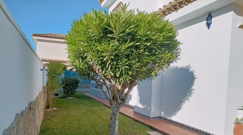 Кадис - Chiclana de la Frontera - 388m2