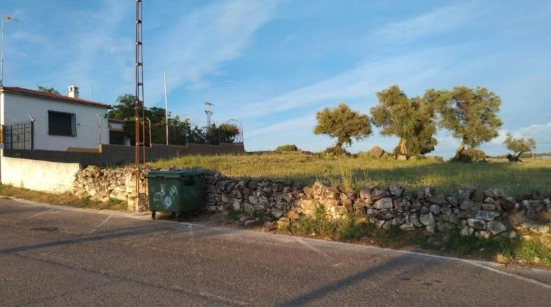 Caceres - Ceclavín - 60000m2
